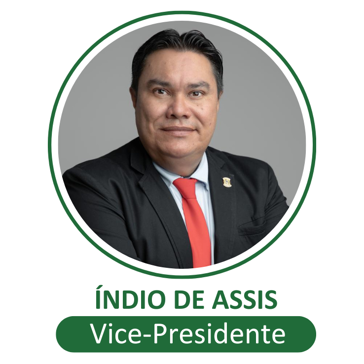 Vice-Presidente: Israel de Assis Alves – Índio de Assis