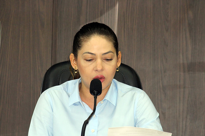 04-05 Sessão Ordinária (8).JPG