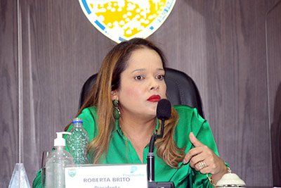 Sessão Ordinária 06-04 (38).jpg