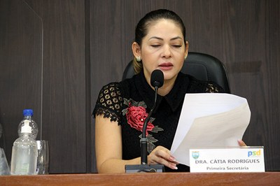 Sessão Ordinária 07-04 (1).jpg