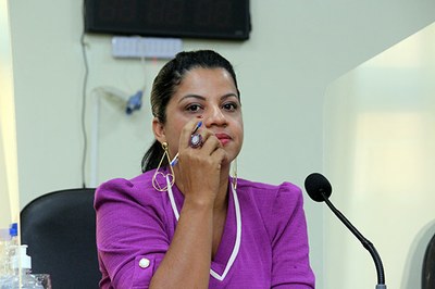 Sessão Ordinária 07-04 (16).jpg