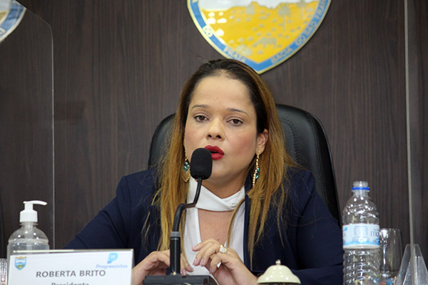 Sessão Ordinária 08-04 (28).jpg