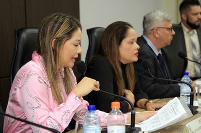 23-12 Sessão Extraordinária (4).jpeg