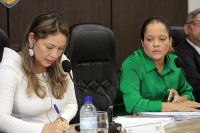 28-11 Sessão Extraordinária (13).jpeg