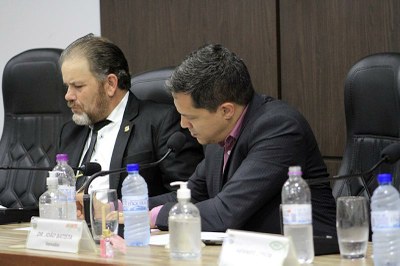 22-06-22 Reunião Frente Parlamentar DDPTEA (22).jpg