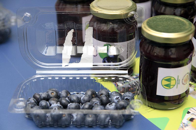 28-09 Audiência Pública (13).jpg