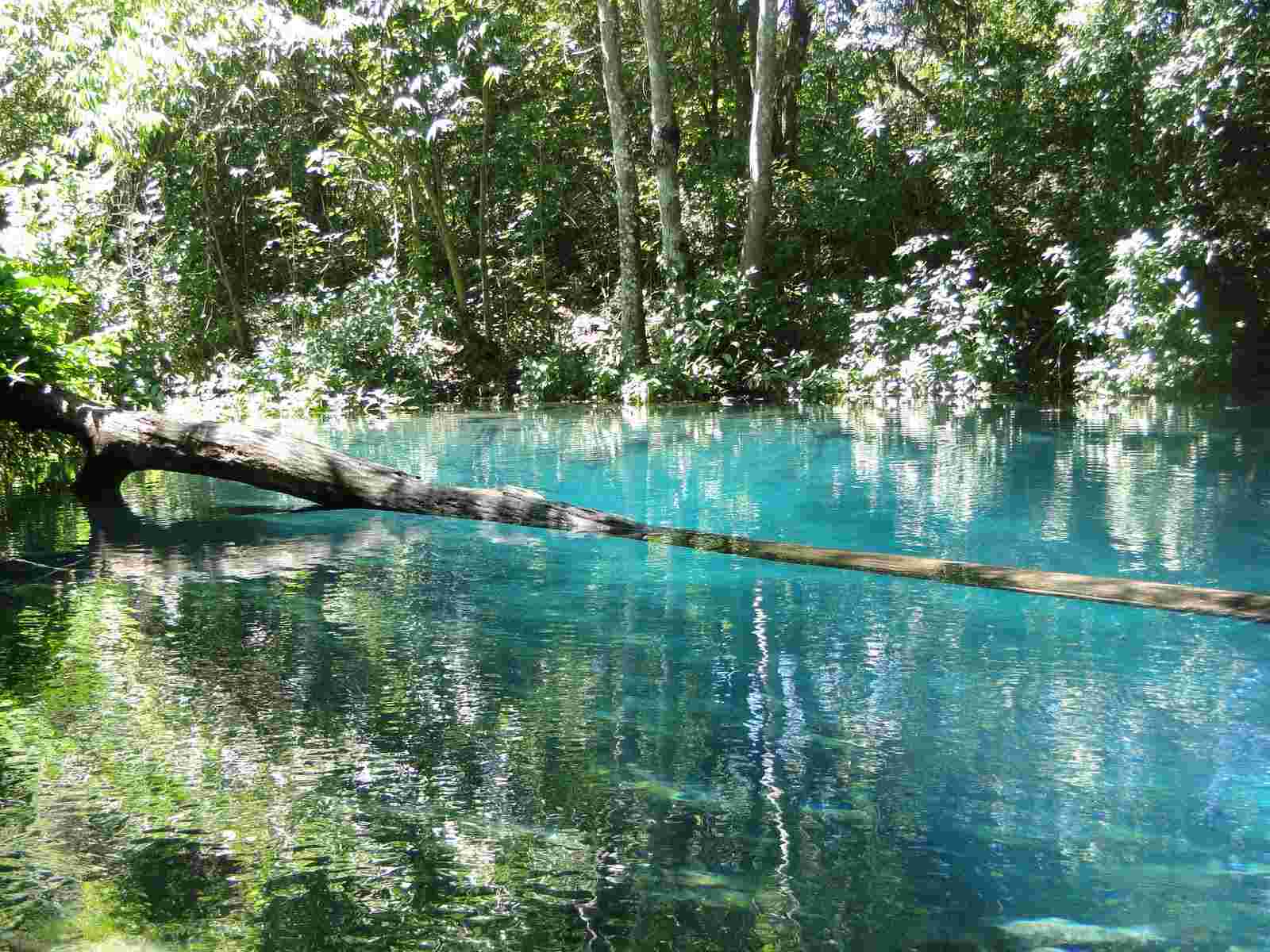 Aniversário de Formosa