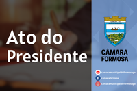 Ato do Presidente nº 8/24