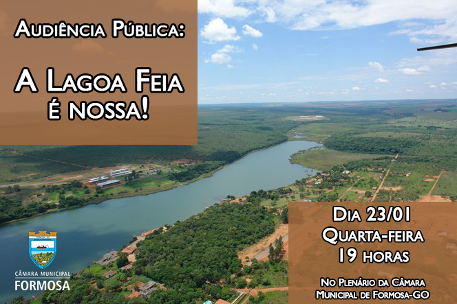 Audiência Pública n.º 001/19