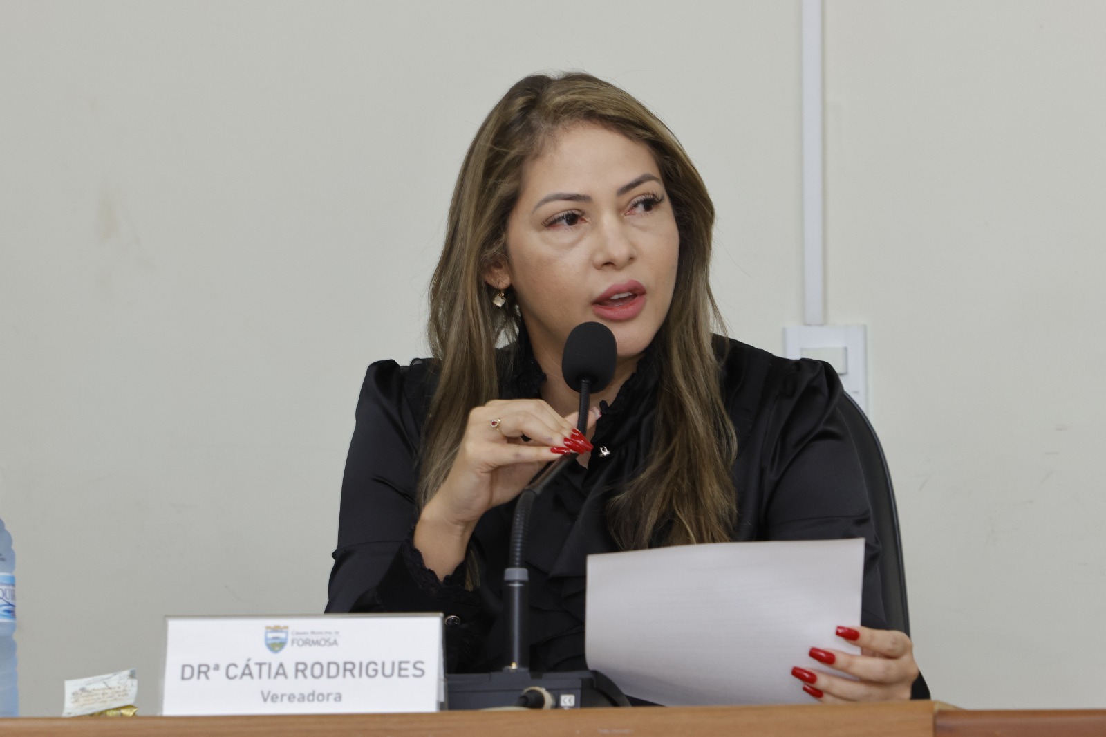 Câmara aprova criação da Semana Municipal do Festival Gastronômico de Formosa