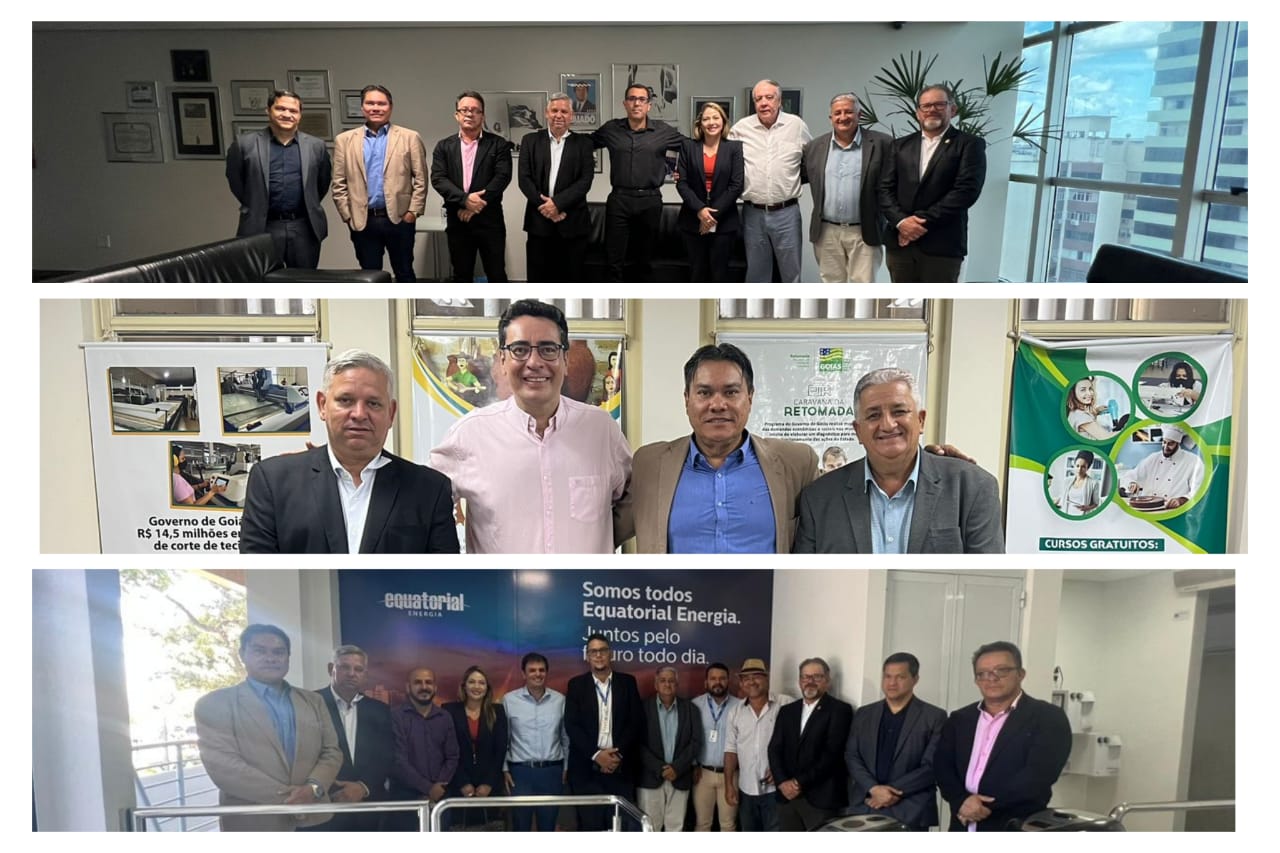 Câmara cumpre agenda em Goiânia