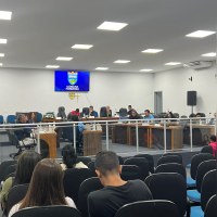 Câmara realizou oitava reunião da Frente Parlamentar  em Defesa dos Direitos da Pessoa com Transtorno do Espectro Autista.