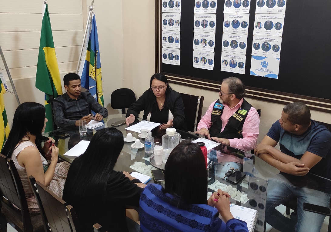 Comissão de Cultura, DH, Minoria e LP se reúne com secretária Pâmela Miranda