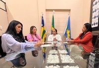 Comissão de Defesa e Promoção dos Direitos das Mulheres discute realização de Audiência Pública