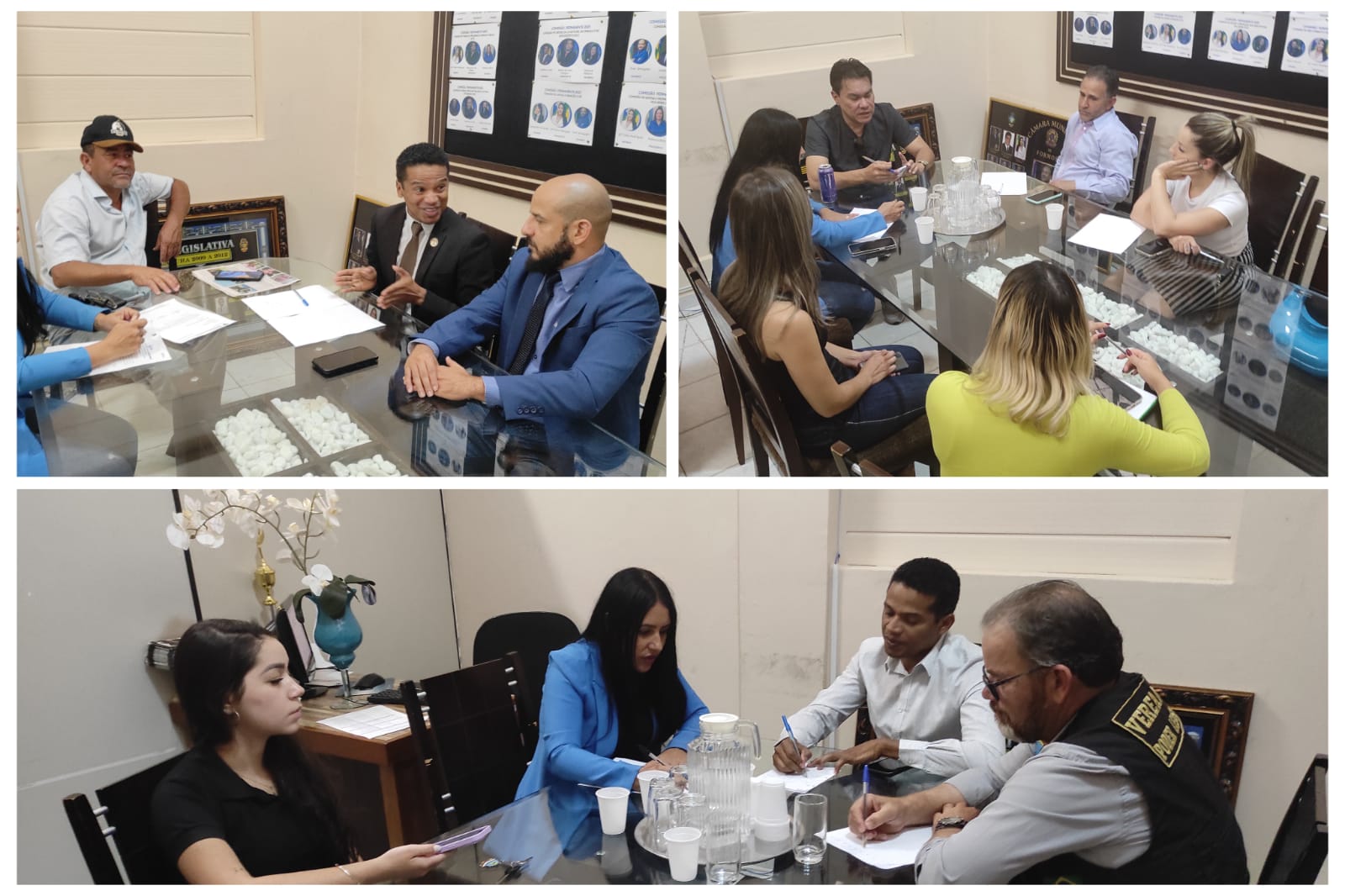 Comissões debatem assuntos voltados à educação, segurança e cultura