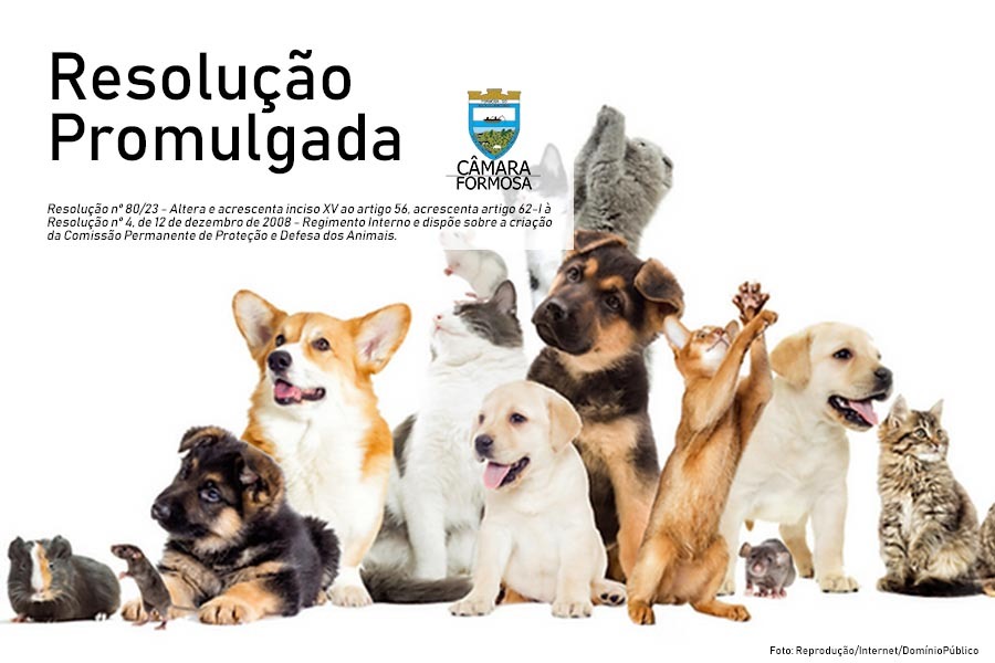 Resolução nº 80, de 27 de abril de 2023