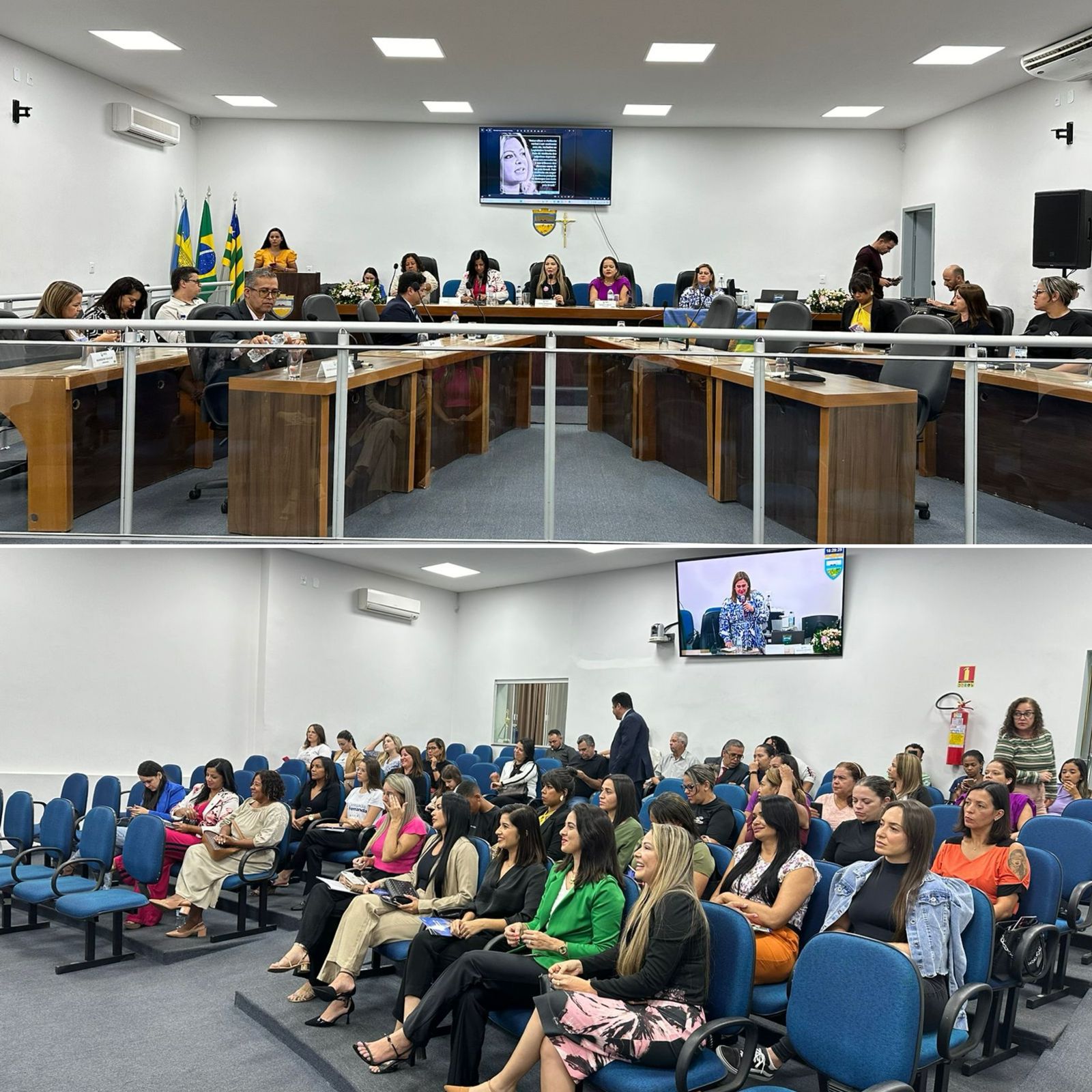 Seminário: Violência Política de Gênero e Legislação.