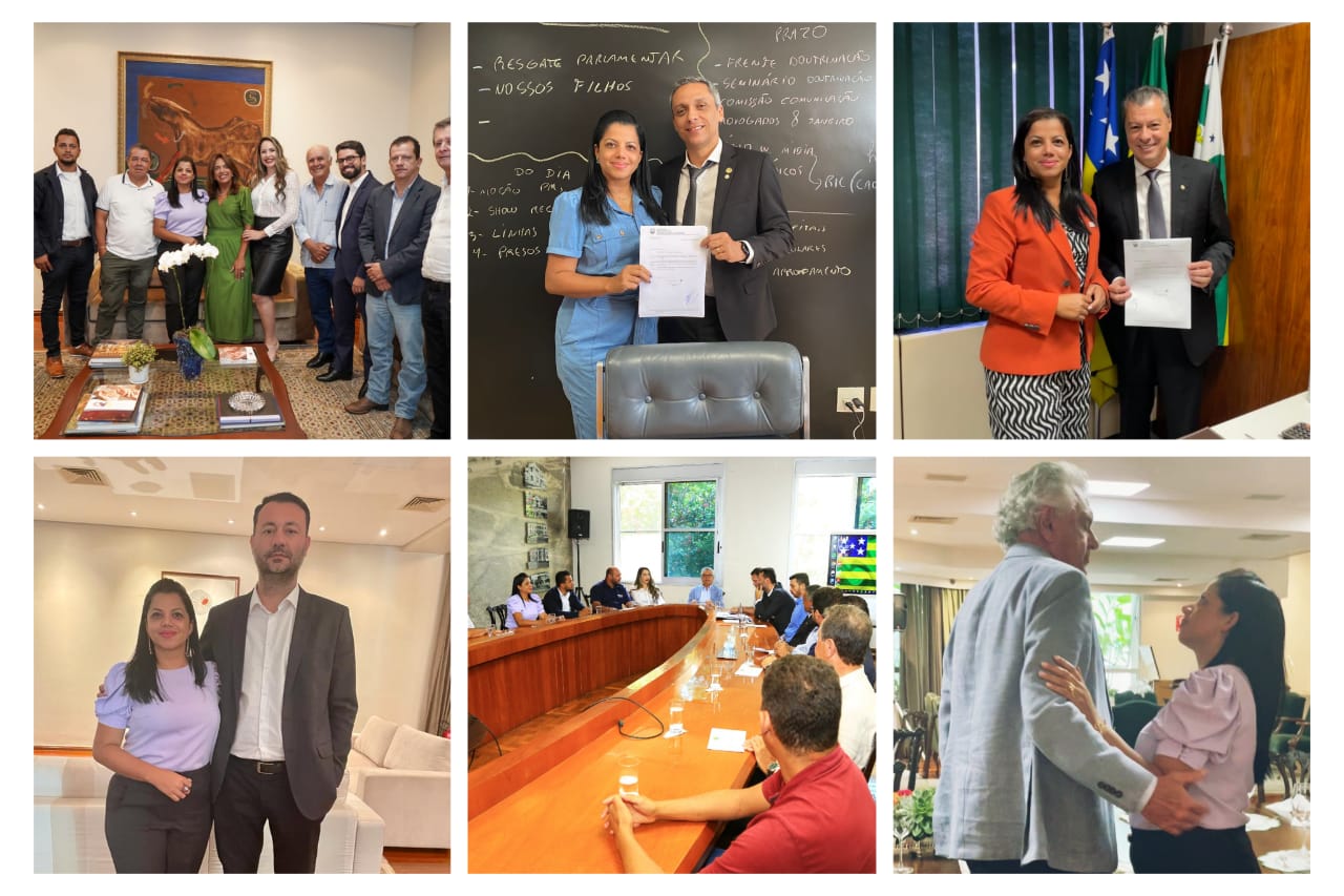 Vereadora Simone Ribeiro apresenta resumo de atividades parlamentares realizadas